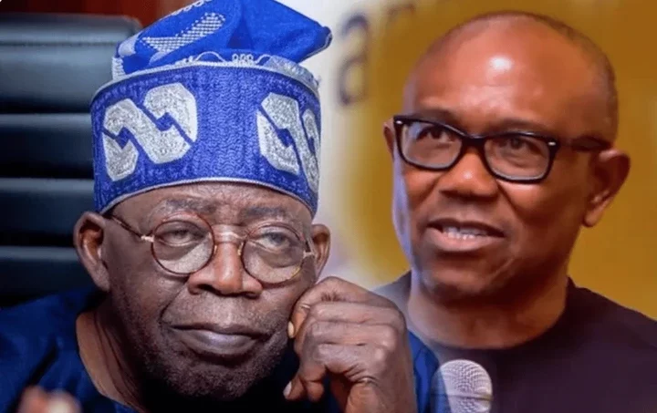 Rule of Law is Essential to Prevent Anarchy, Peter Obi Lawyer Tells Tinubu